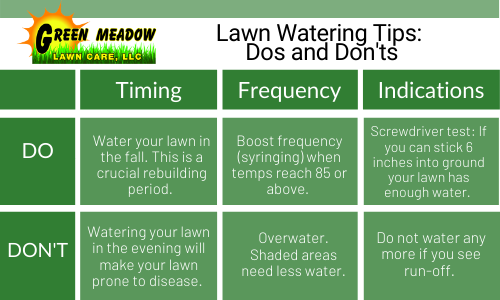 Best time of day to water lawn discount